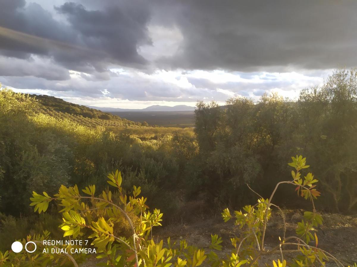 Casas Rurales Cortijo La Canada Estepa Luaran gambar