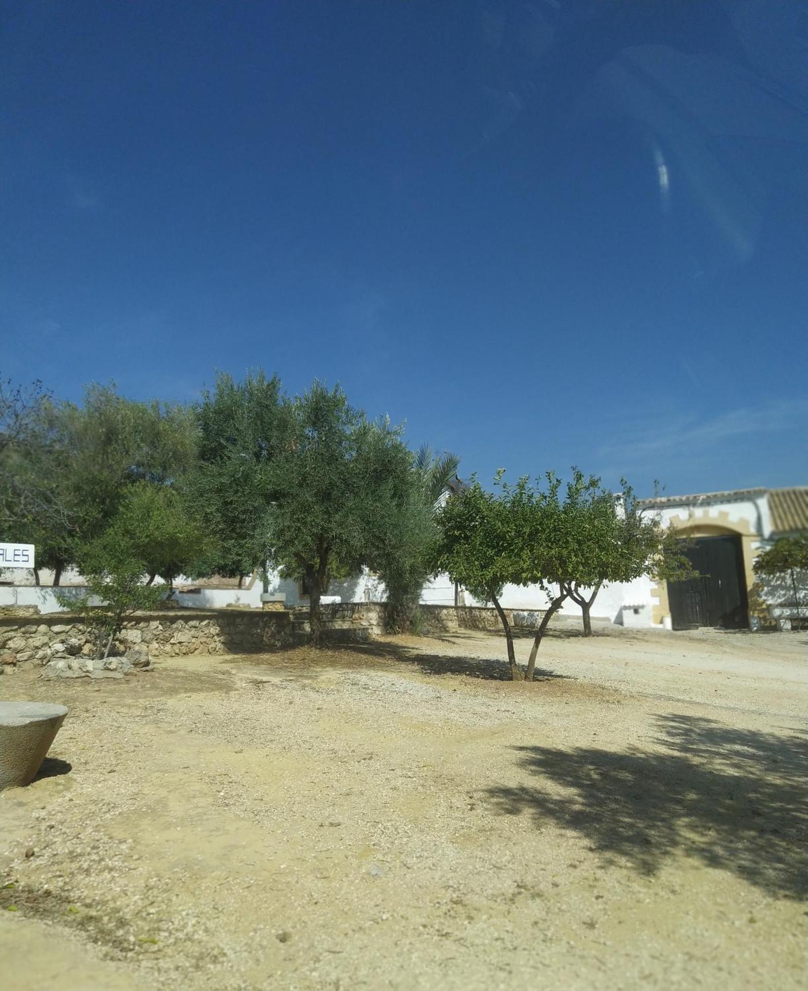 Casas Rurales Cortijo La Canada Estepa Bilik gambar