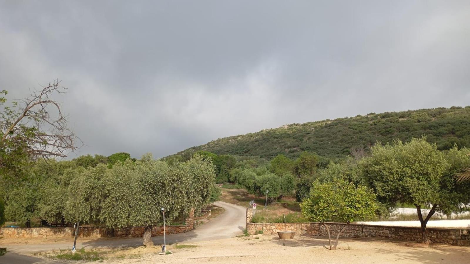 Casas Rurales Cortijo La Canada Estepa Luaran gambar